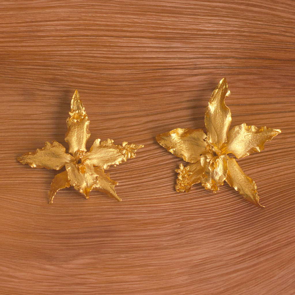Aretes Orquidea Crispum Sauco