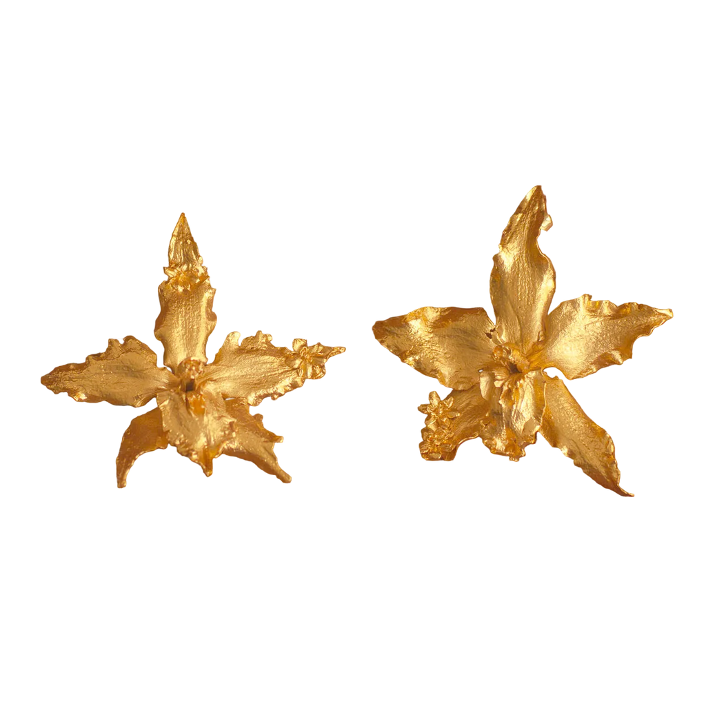 Aretes Orquidea Crispum Sauco