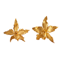 Aretes Orquidea Crispum Sauco