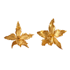 Aretes Orquidea Crispum Sauco