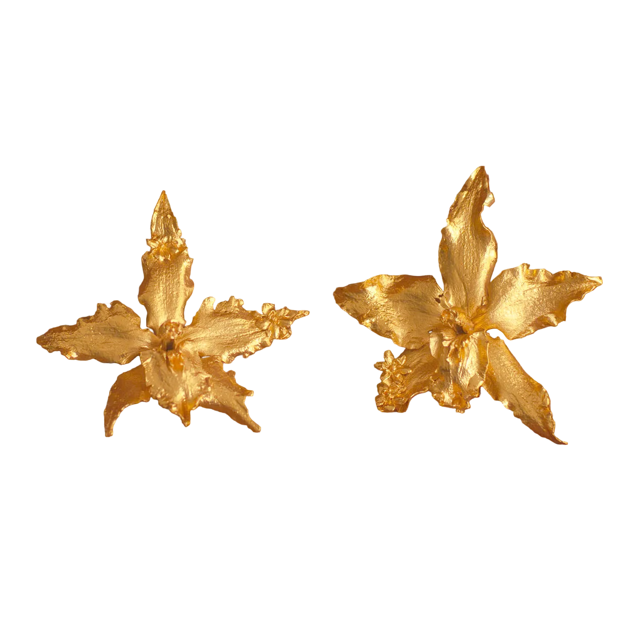 Aretes Orquidea Crispum Sauco