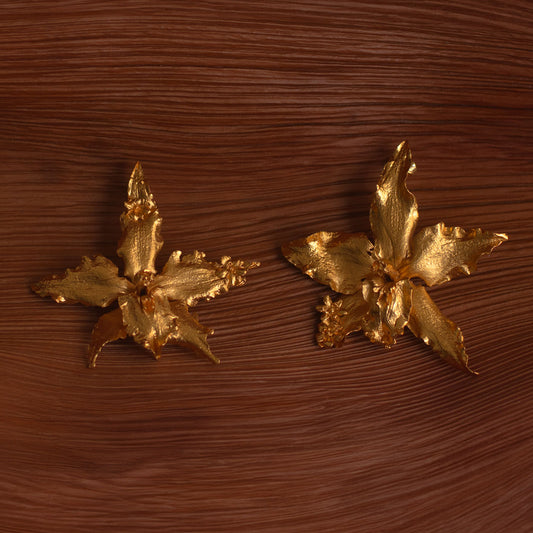 Aretes Orquidea Crispum natural inmortalizado en bronce con detalles de flor de sauco