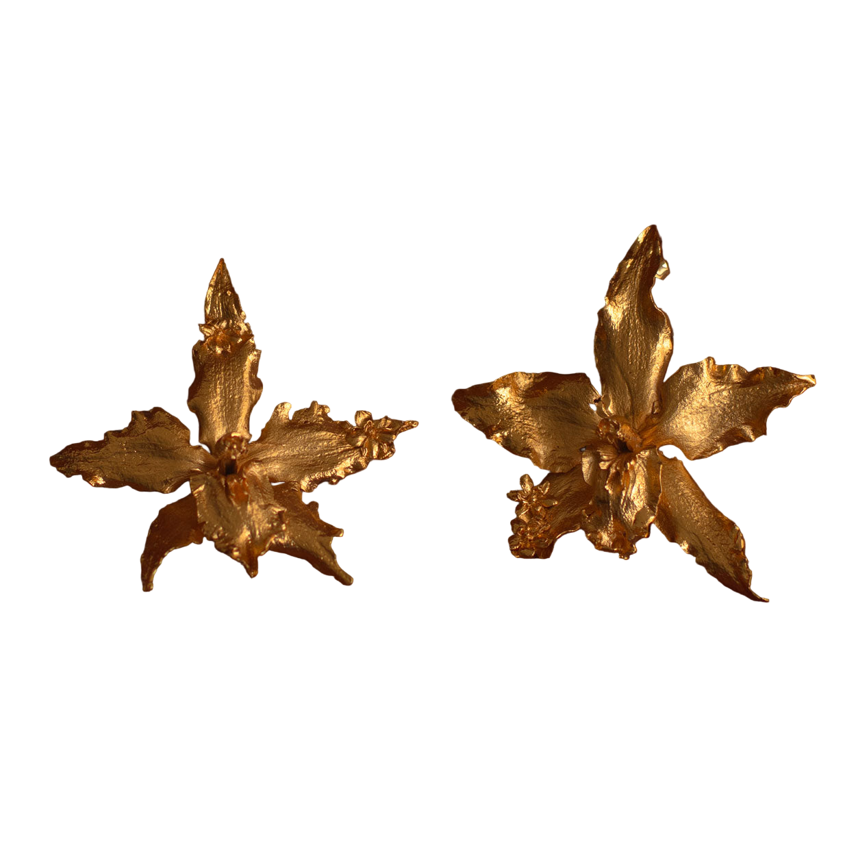 Aretes Orquidea Crispum Sauco