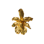 Anillo Orquidea Odontoglossum Esmeralda