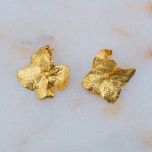 Aretes Topo Flor Hortensia Inmortalizado