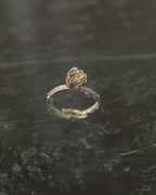 Anillo Ramita Flor Suculenta Plata Ecológica