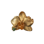 Anillo Orquidea Phalaenopsis Sauco Esmeralda