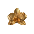 Anillo Orquidea Phalaenopsis Sauco