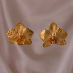 Aretes Orquidea Phalaenopsis Saucos