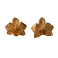 Aretes Orquidea Phalaenopsis Saucos