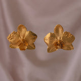 Aretes Orquidea Phalaenopsis Saucos