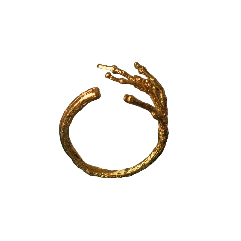 Anillo Ramita Ramificada
