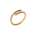 Anillo Ramita Anturio Abierto