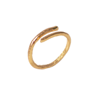 Anillo Ramita Anturio Abierto