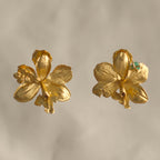Aretes Topo Orquidea Epidendrum Radicans
