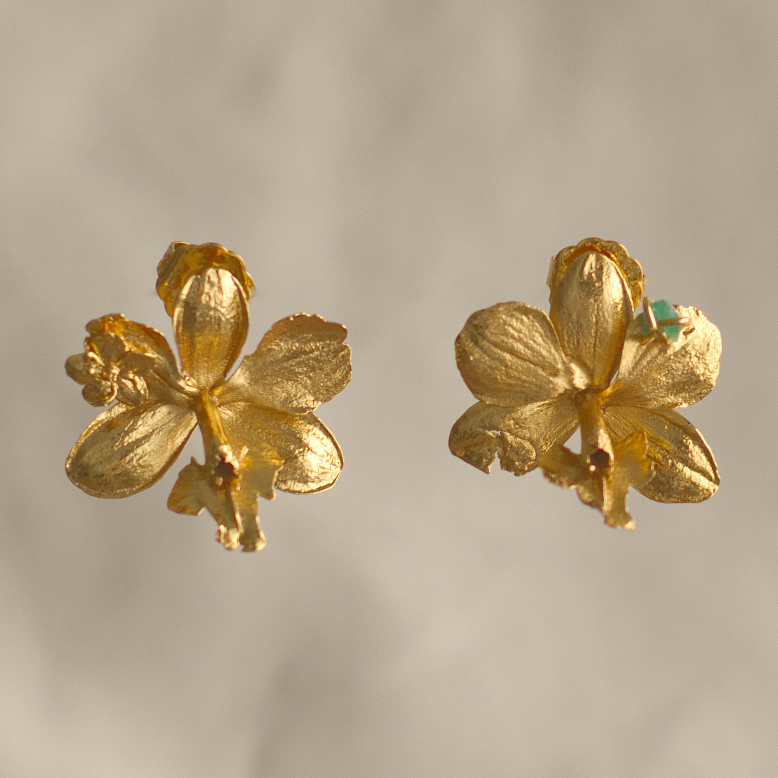 Aretes Topo Orquidea Epidendrum Radicans