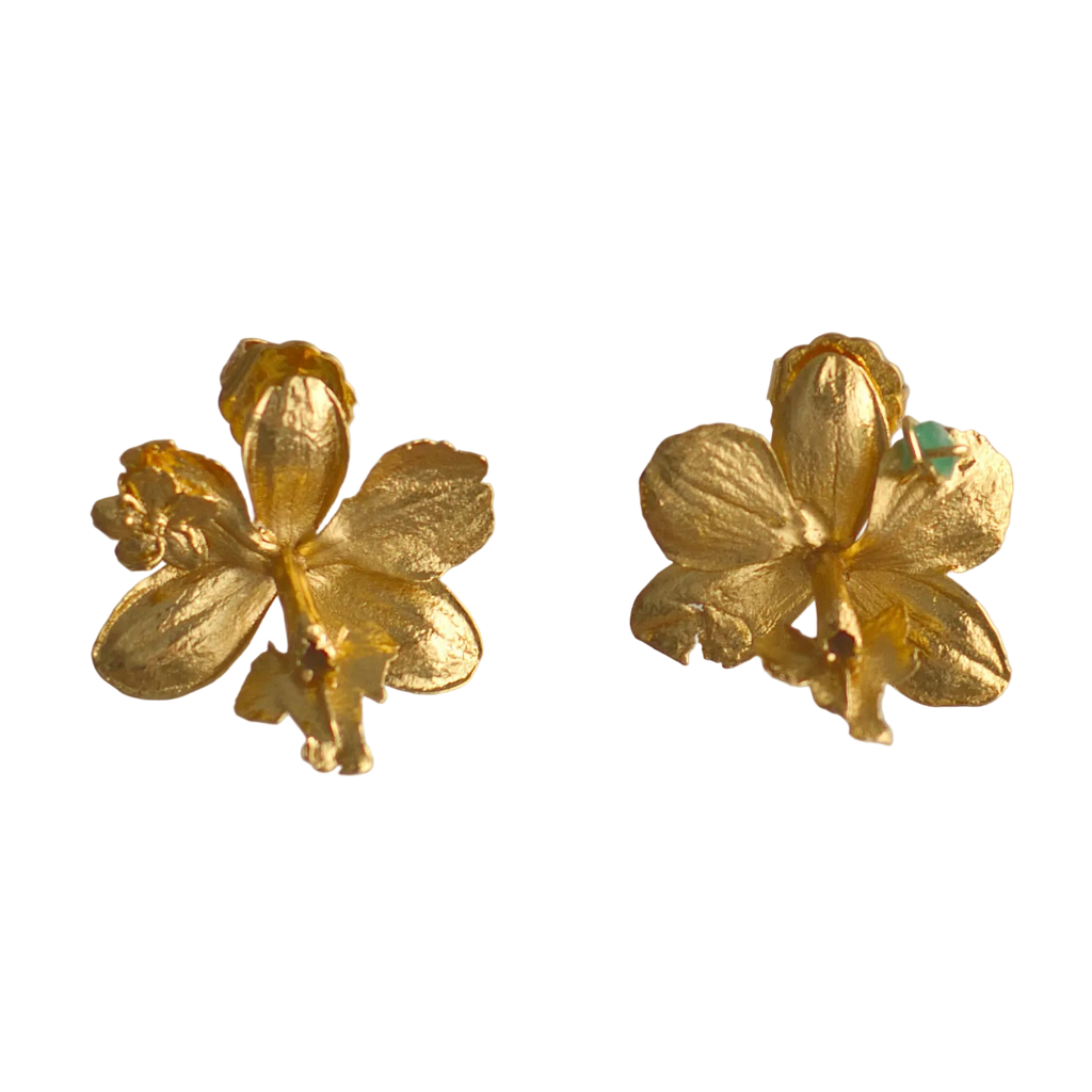 Aretes Topo Orquidea Epidendrum Radicans