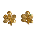 Aretes Topo Orquidea Epidendrum Radicans
