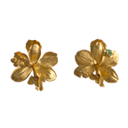Aretes Topo Orquidea Epidendrum Radicans