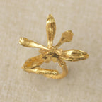 Anillo Orquidea Encyclia Oncidioides