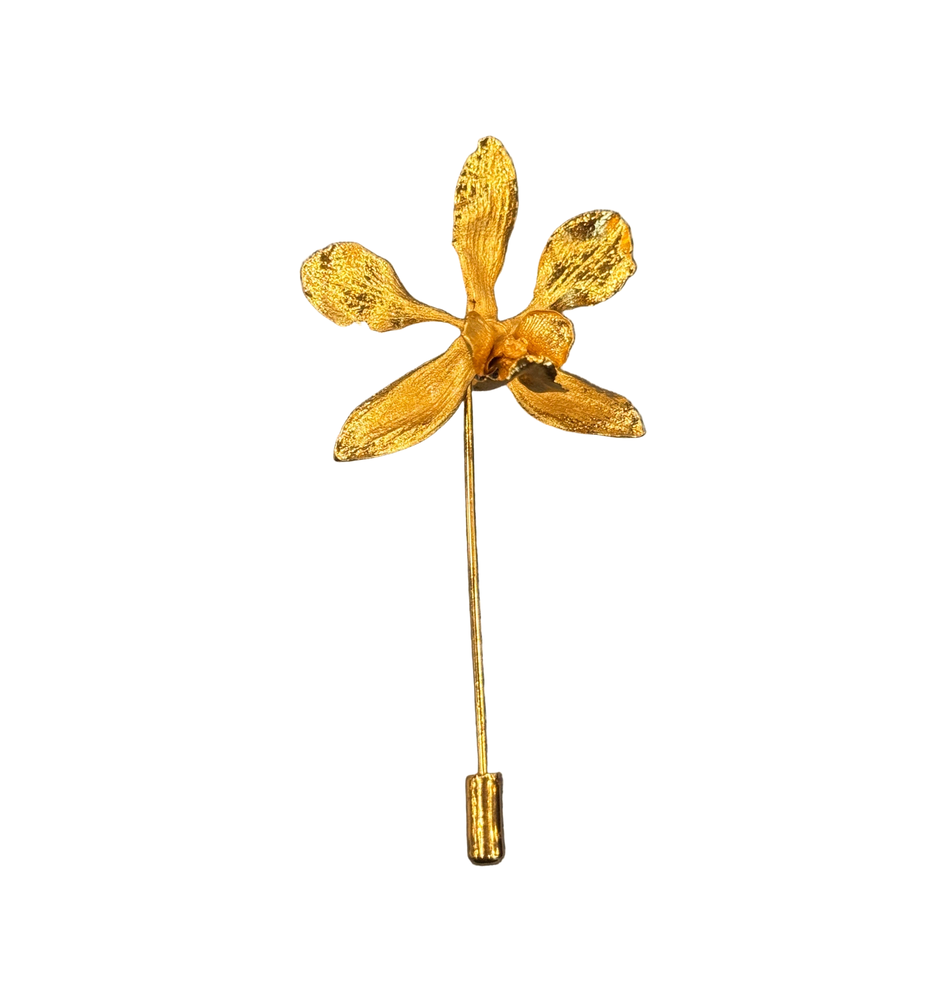 Broche Orquidea Encyclia Oncidioides
