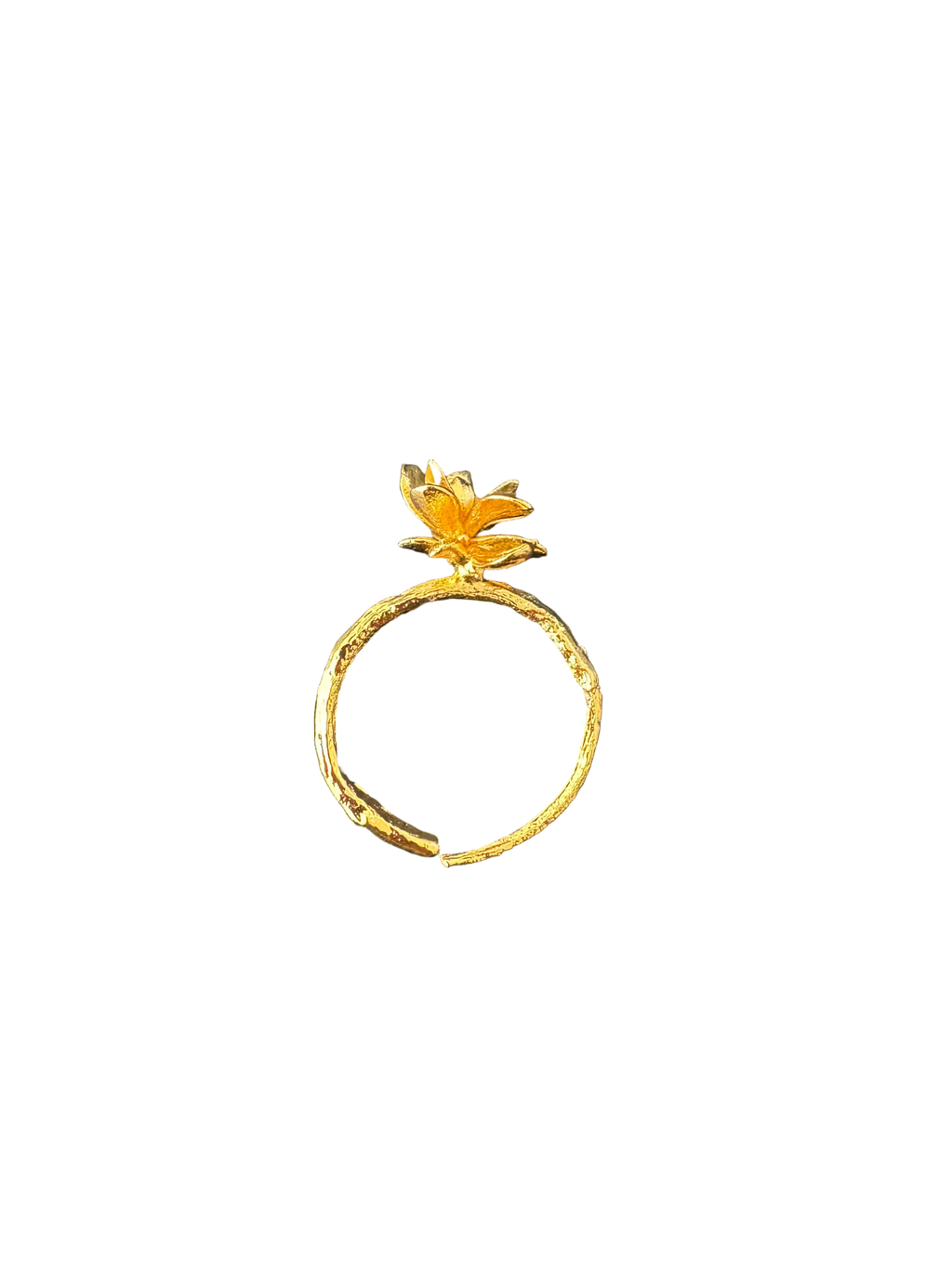 Anillo Ramita Anturio Flor Suculenta