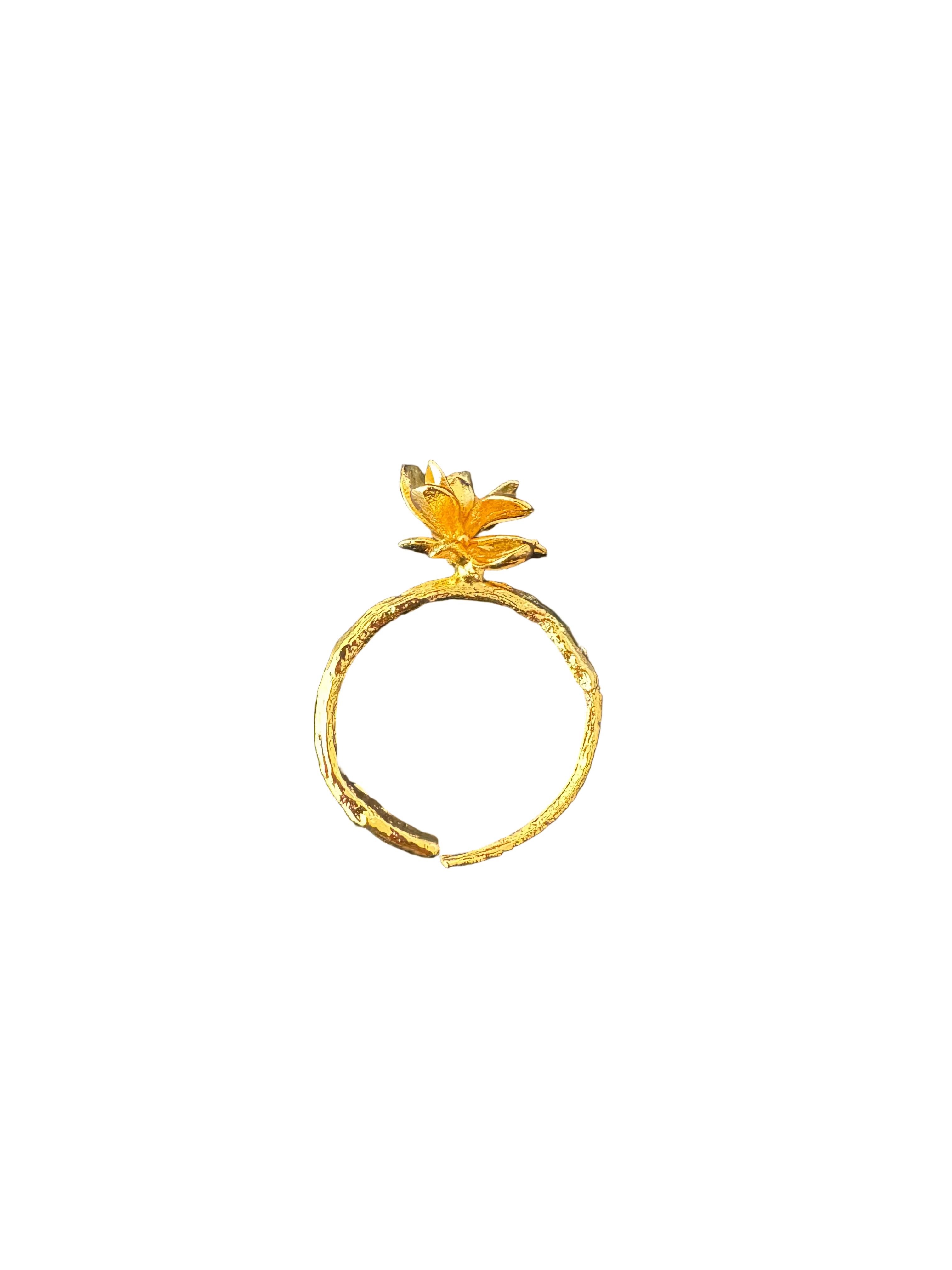 Anillo Ramita Anturio Flor Suculenta