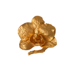 Anillo Orquidea Phalaenopsis Baby Ramita