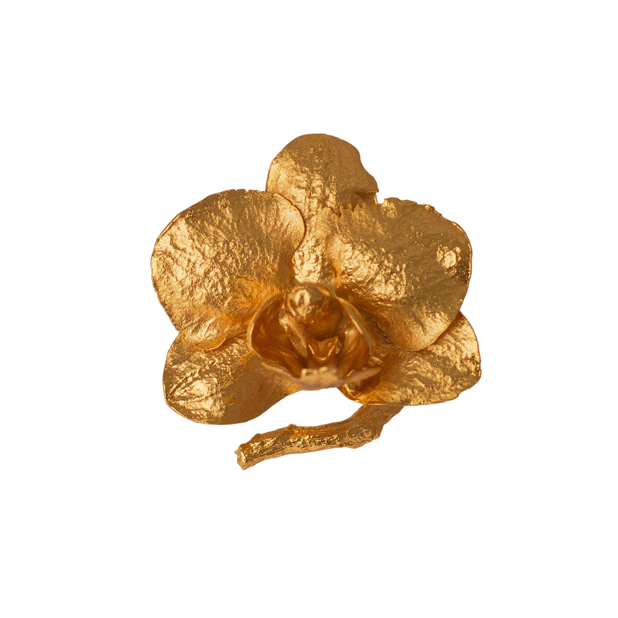 Anillo Orquidea Phalaenopsis Baby Ramita