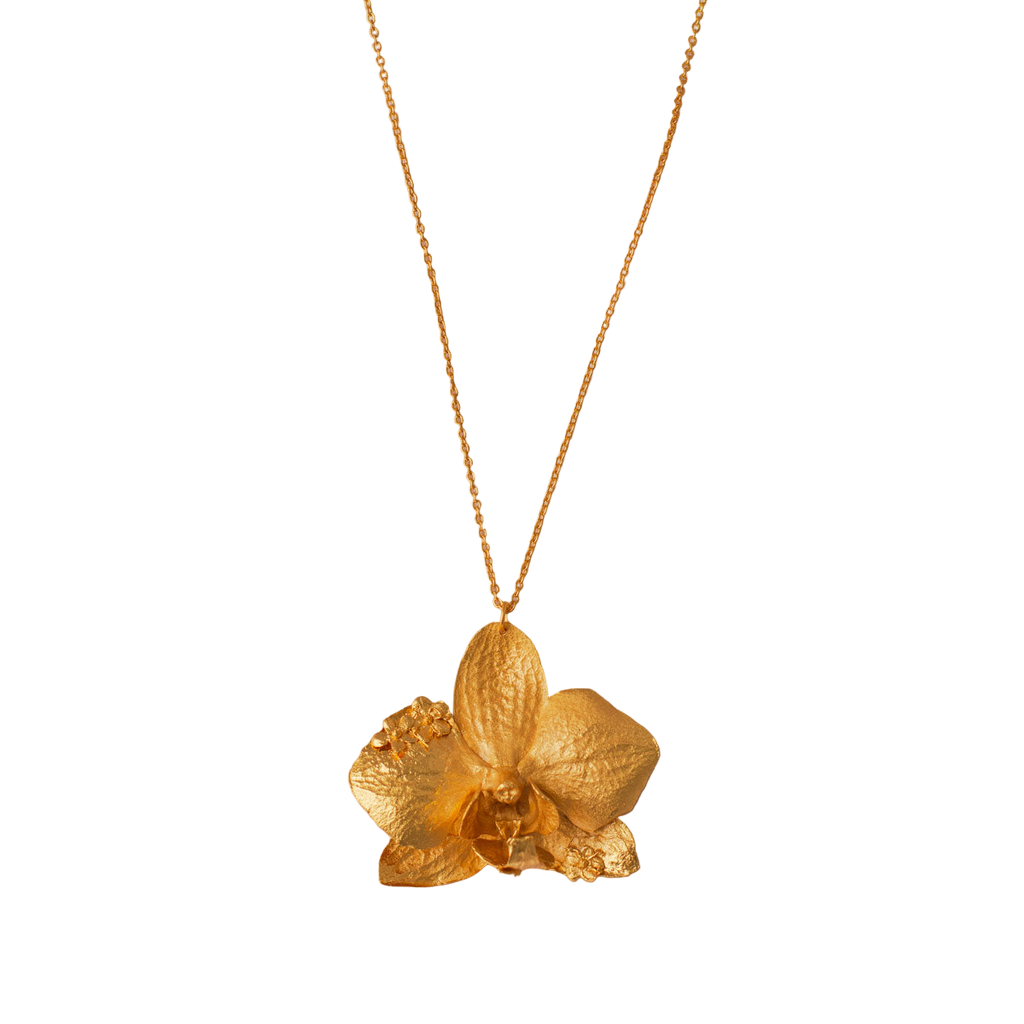 Collar Orquidea Phalaenopsis Sauco