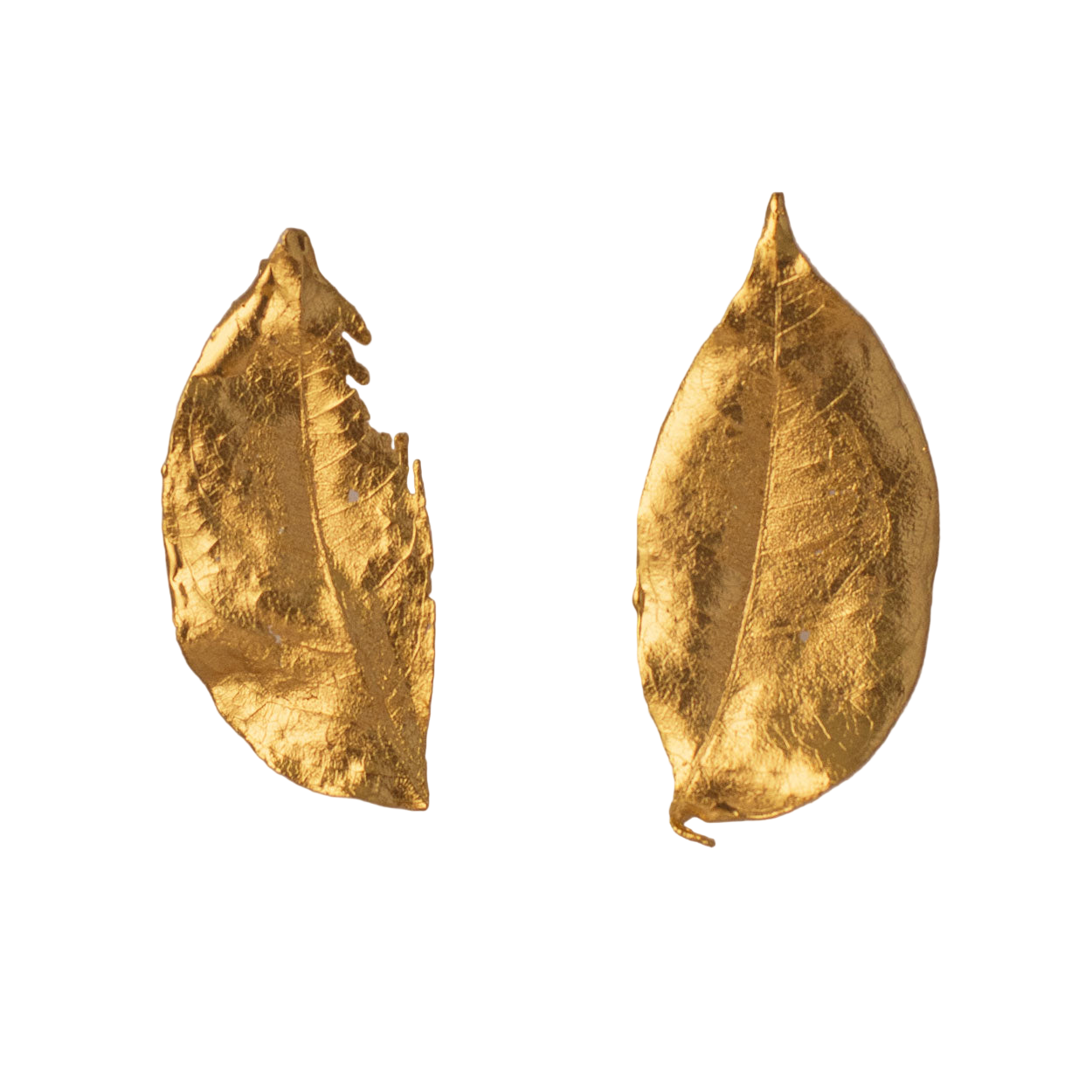 Aretes Topo Hoja Cucuta