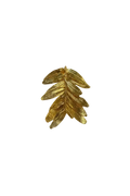 Broche Prendedor Hoja Helecho