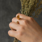 Anillo Ramita Anturio Flor Suculenta