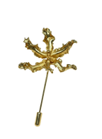 Broche Orquidea Cyrtochilum