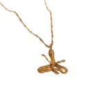 GARGANTILLA EPIDENDRUM CAPRICORNU