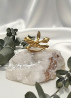 Anillo Orquídea Prosthechea Sceptra