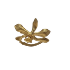 Anillo Orquídea Prosthechea Sceptra