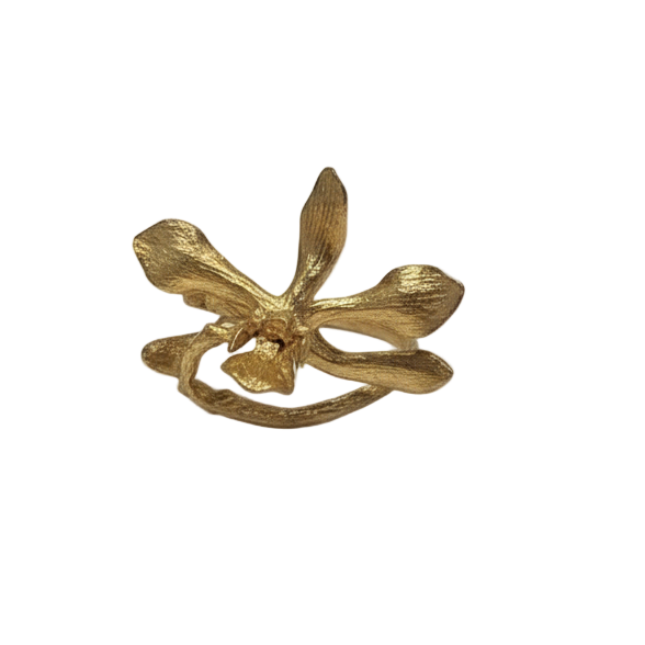 Anillo Orquídea Prosthechea Sceptra