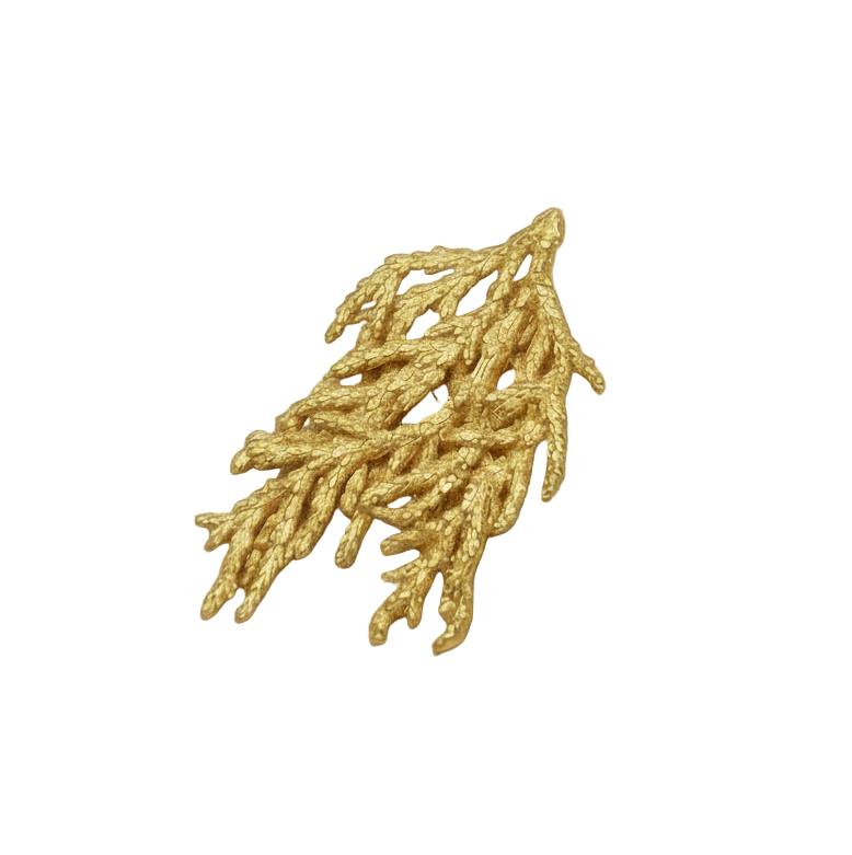 BROCHE PRENDENDOR HOJA PINO