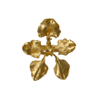 Anillo Orquidea Cyrtochilum Halteratum - Joyería Botánica | Liz de la Cruz