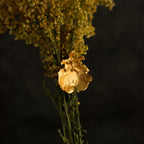 Anillo Orquidea Dama Danzante - Joyería Botánica | Liz de la Cruz