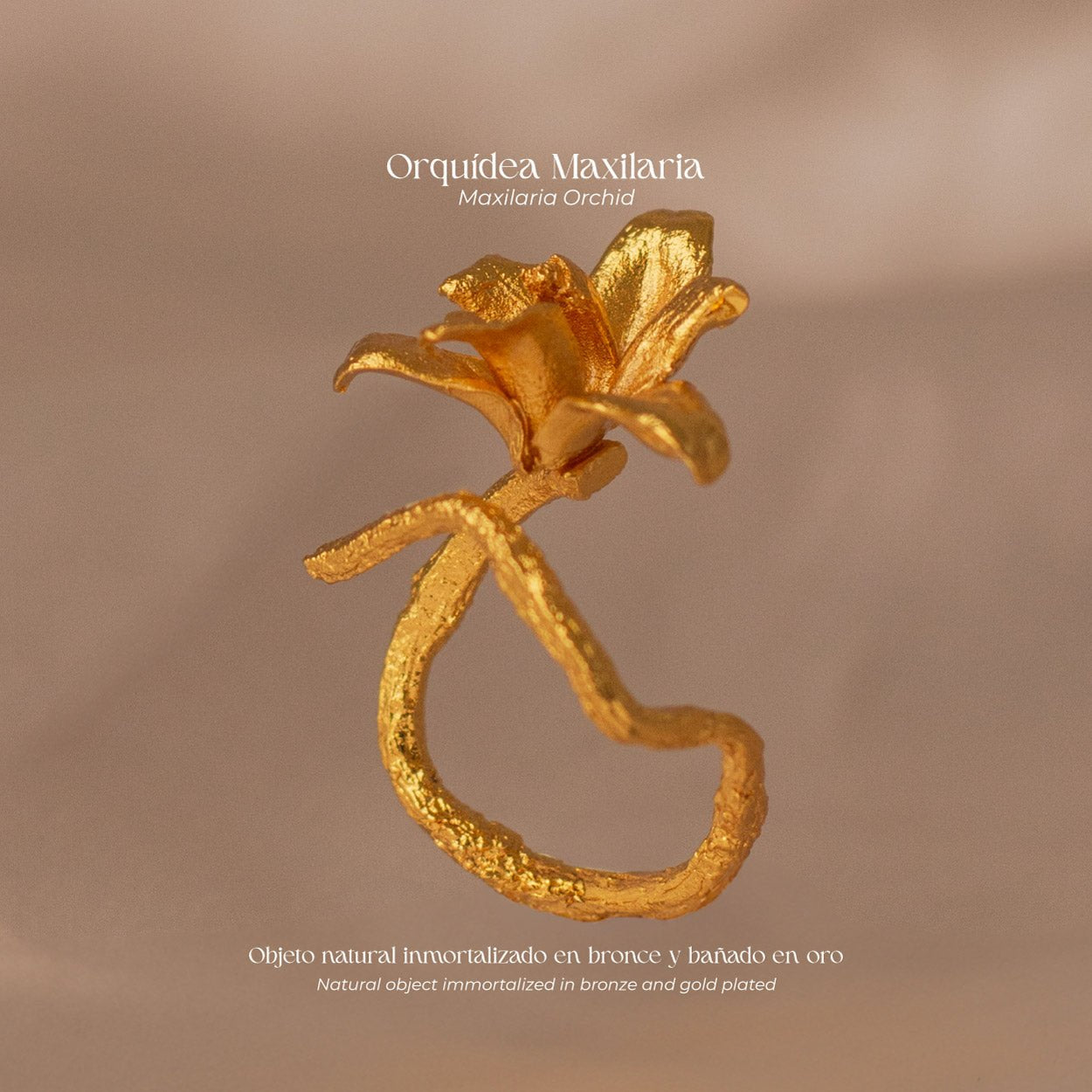 Anillo Orquidea Maxilaria - Joyería Botánica | Liz de la Cruz