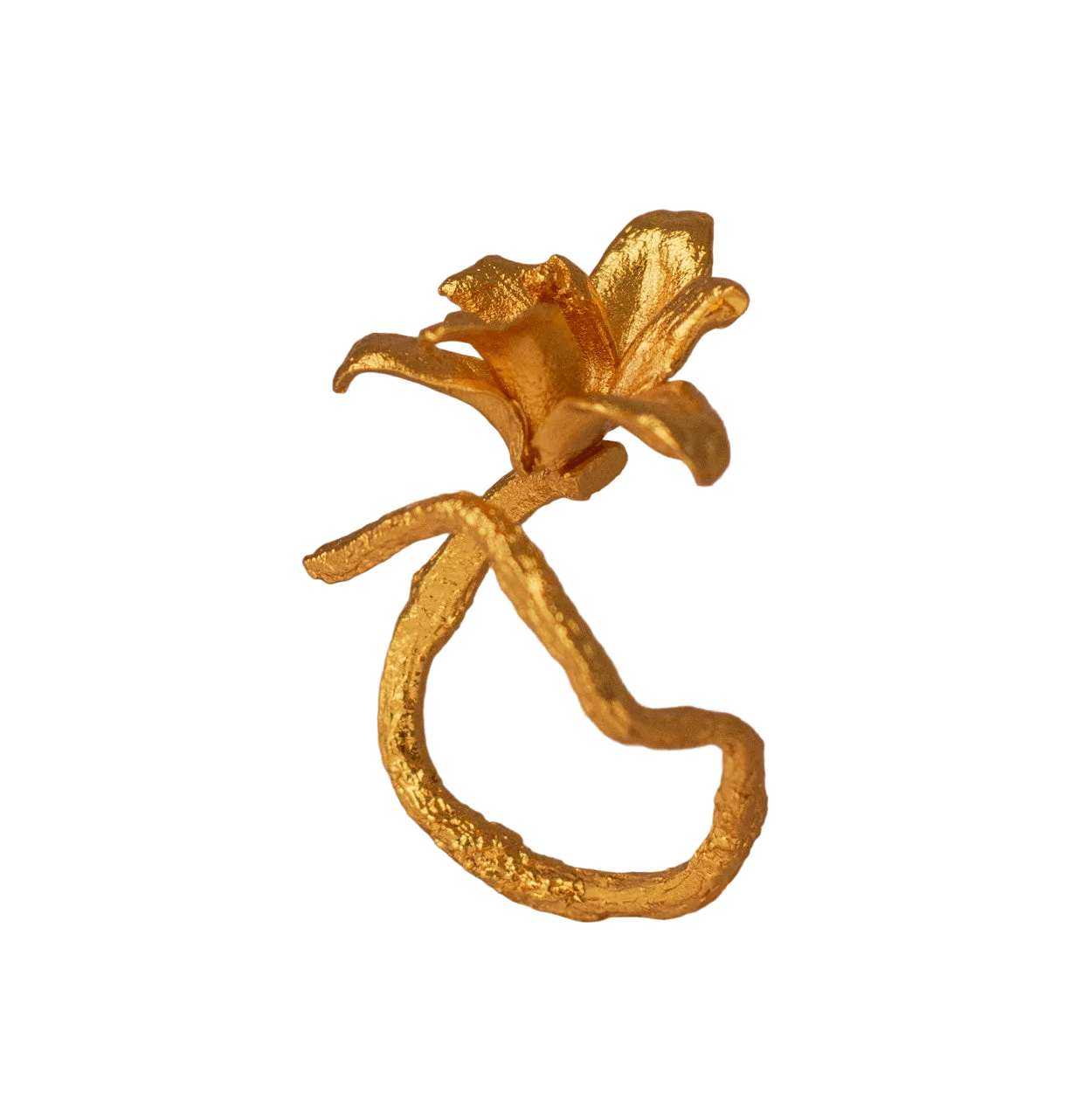 Anillo Orquidea Maxilaria - Joyería Botánica | Liz de la Cruz