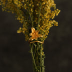 Anillo Orquidea Maxilaria - Joyería Botánica | Liz de la Cruz