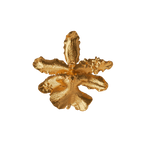 Anillo Orquidea Odontoglossum Flor Sauco - Joyería Botánica | Liz de la Cruz
