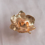 Anillo Orquidea Phalaenopsis Baby Ramita - Joyería Botánica | Liz de la Cruz
