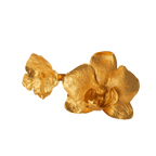 Anillo Orquidea Phalaenopsis Hortensia - Joyería Botánica | Liz de la Cruz