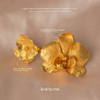Anillo Orquidea Phalaenopsis Hortensia - Joyería Botánica | Liz de la Cruz