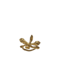 Anillo Orquídea Prosthechea Sceptra - Joyería Botánica | Liz de la Cruz