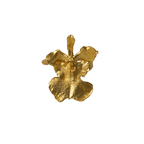 Anillo OrquIdea Tolumnia - Joyería Botánica | Liz de la Cruz